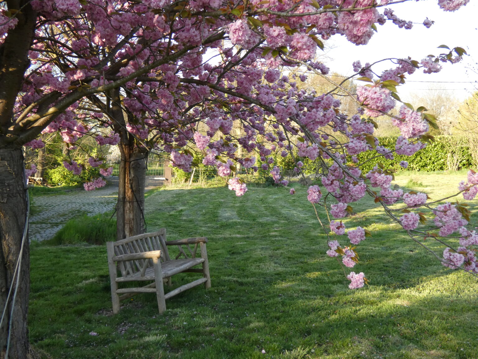 Verger du domaine de Krayenberg